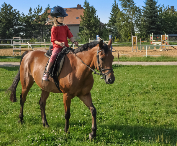 Kleines Maedchen beim Reiten