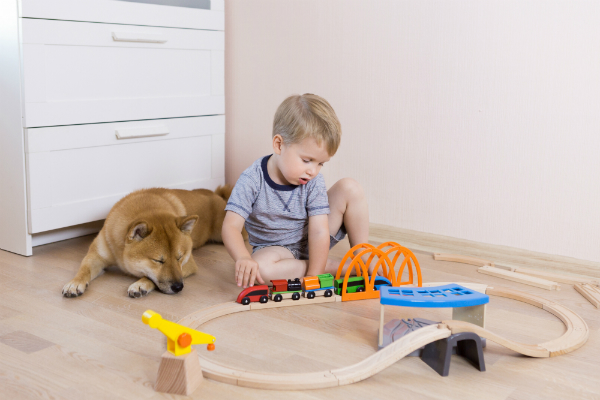 Kleiner Junge spielt mit Eisenbahn und Hund liegt daneben