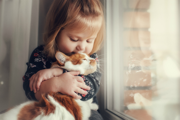 Kleines Maedchen schmust mit einer Katze