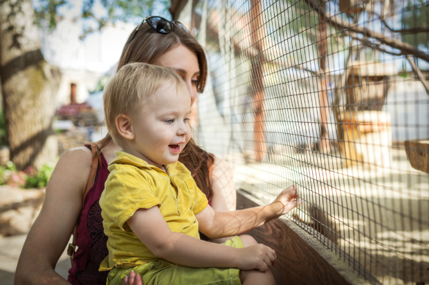 Was benötigt man alles für einen Zoo-Ausflug mit Baby?