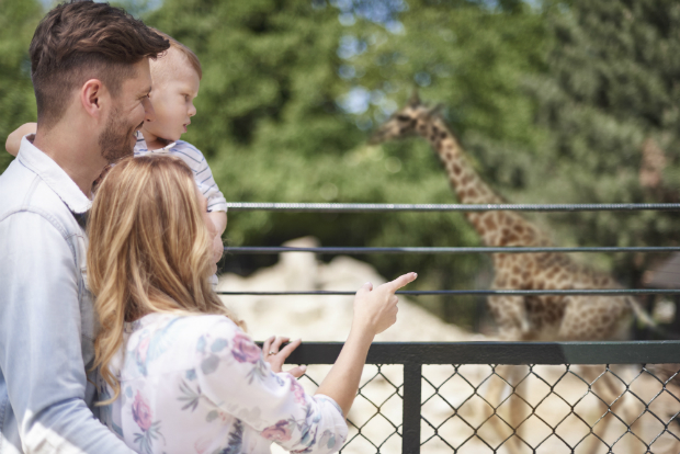 Kinder lieben Tiere im Zoo